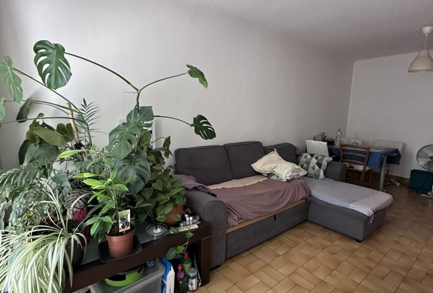 vente Appartement Montpellier - Photo 3