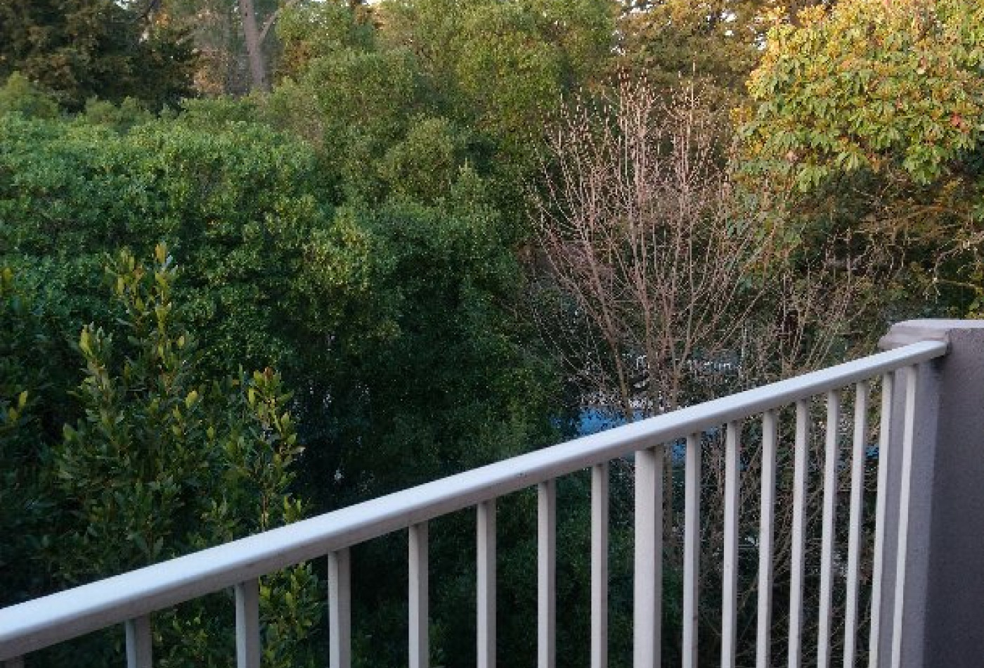 vente Appartement Montpellier - Photo 6