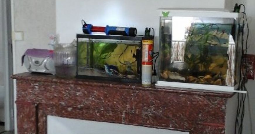 vente Appartement Beziers