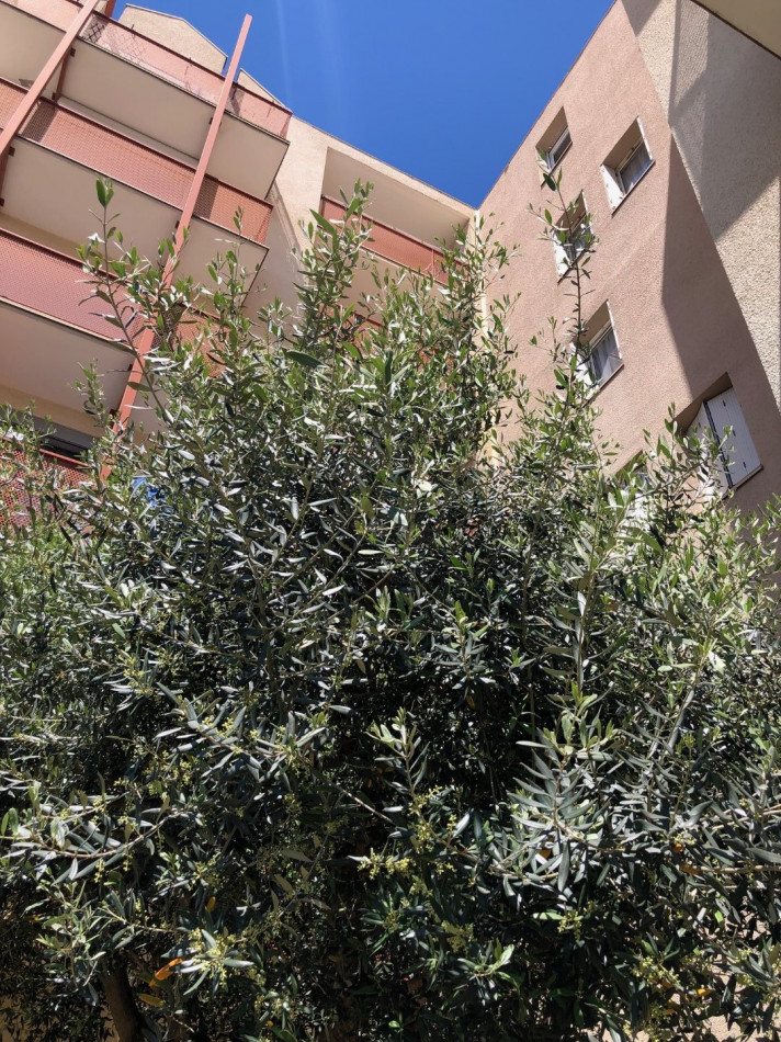 à vendre Appartement en résidence Beziers - Photo 4