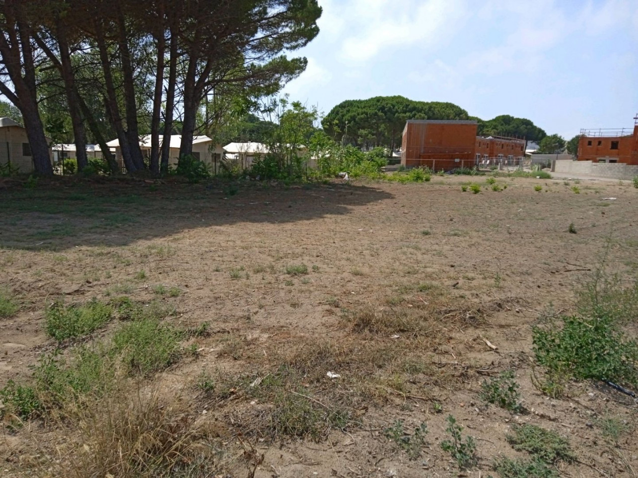 à vendre Terrain Serignan - Photo 3
