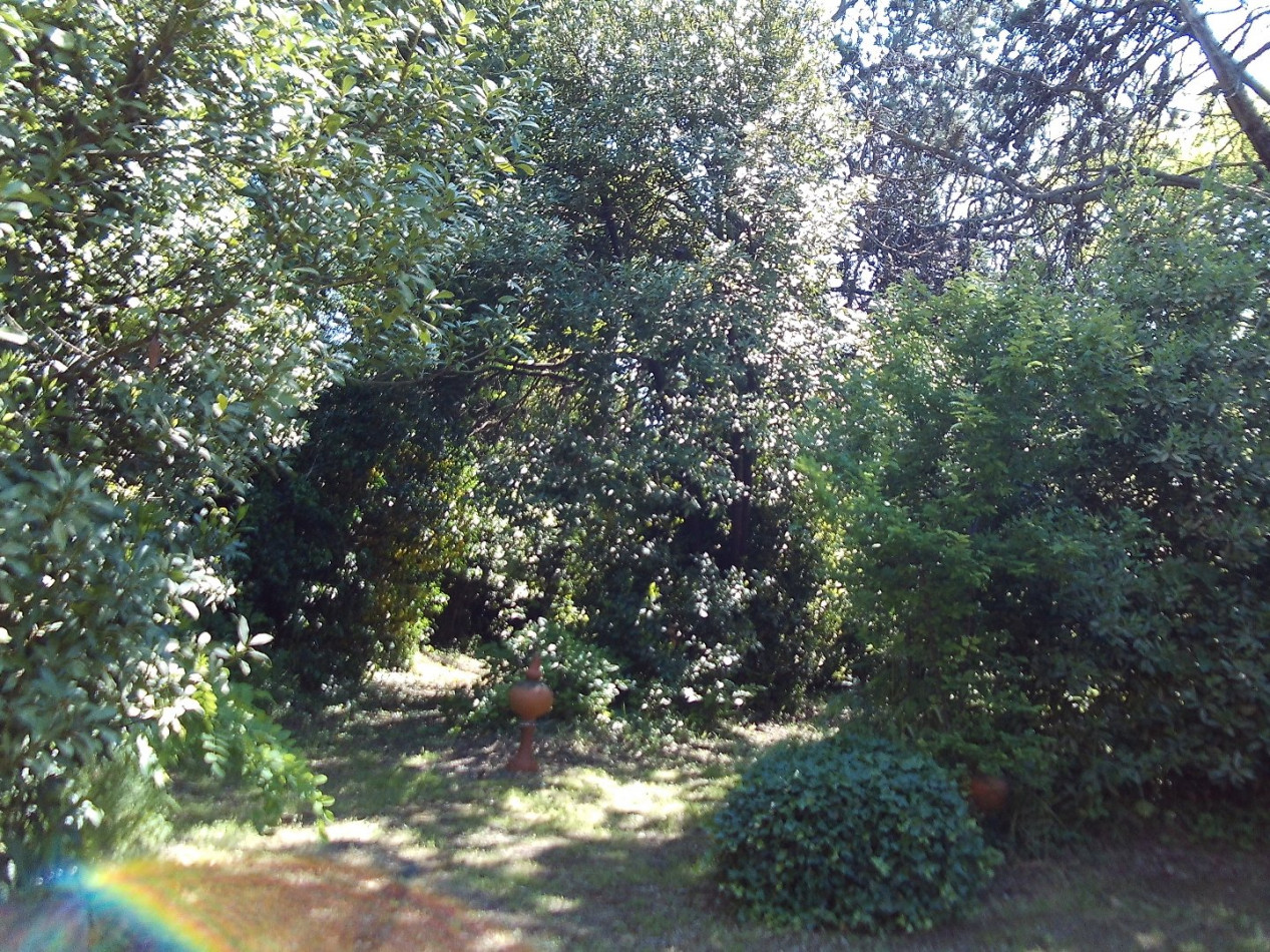 for sale Maison bourgeoise Abeilhan - Photo 3