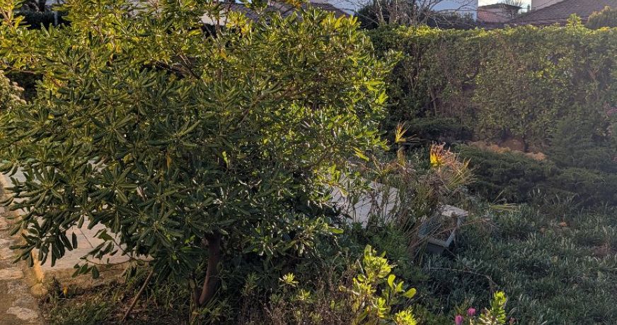 vente Villa Serignan