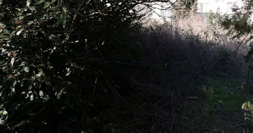 vente Terrain Beziers