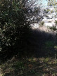 vente Terrain Beziers