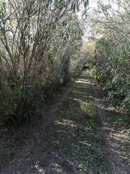 vente Terrain Beziers - Photo 2