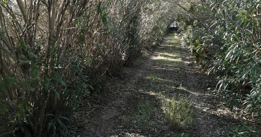 vente Terrain Beziers