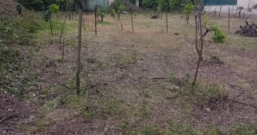 vente Terrain Beziers