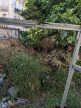 à vendre Appartement Beziers