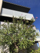 for sale Appartement en résidence Serignan
