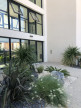location Appartement en rez de jardin Sauvian