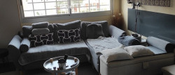 vente Appartement Le Cap D'agde
