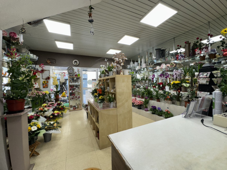 vente Immeuble Frontignan - Photo 1