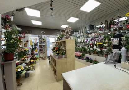 vente Immeuble Frontignan