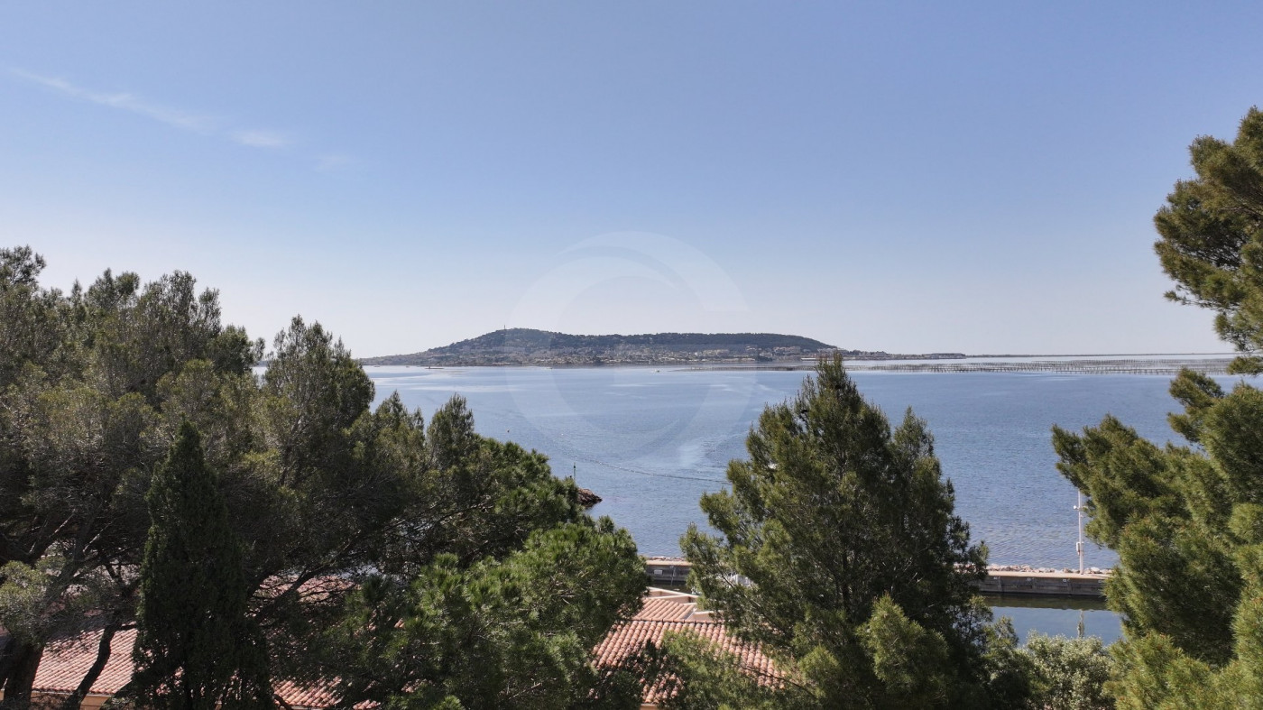 vente Maison Bouzigues - Photo 1