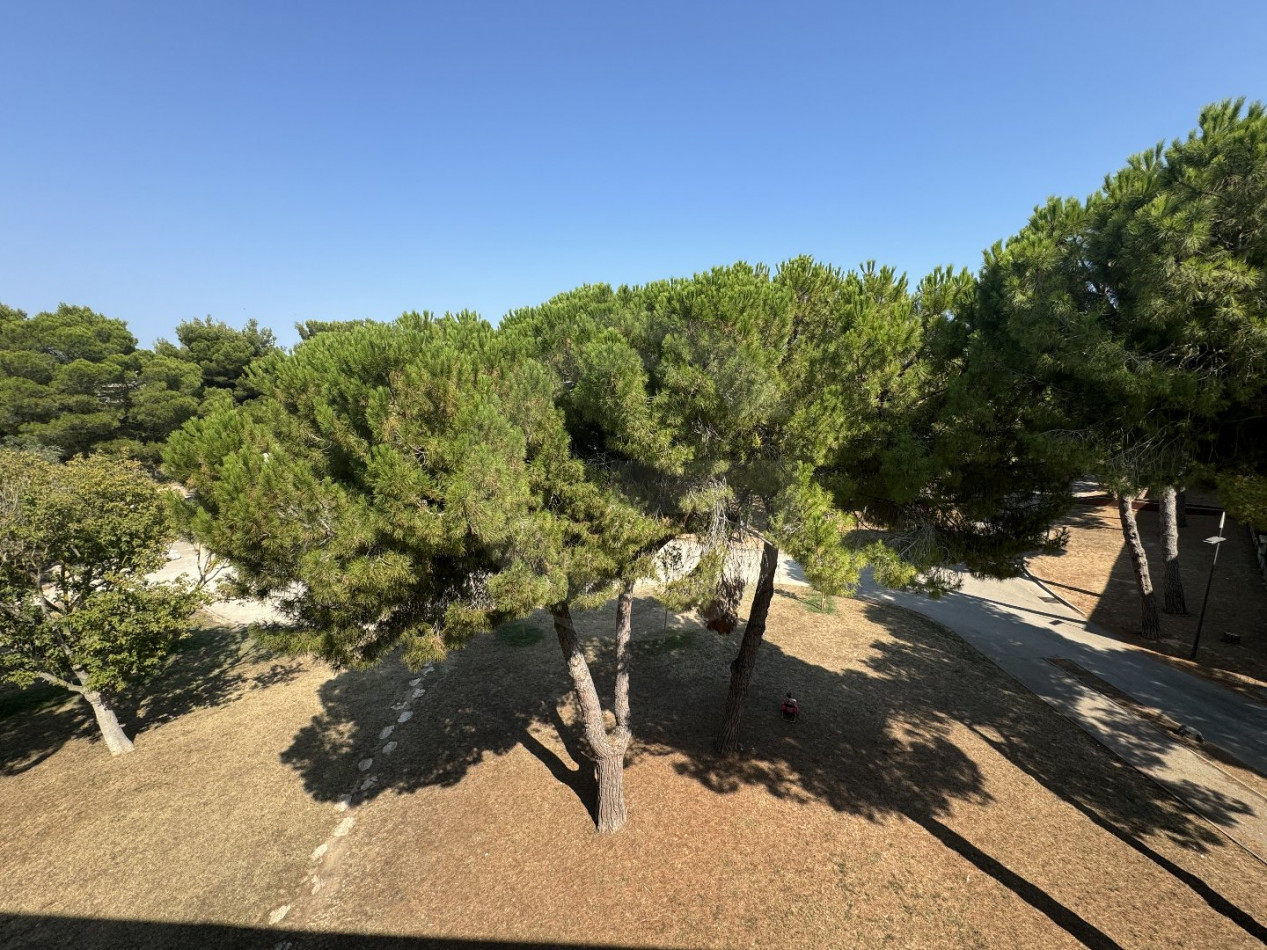 vente Appartement Balaruc Les Bains - Photo 6