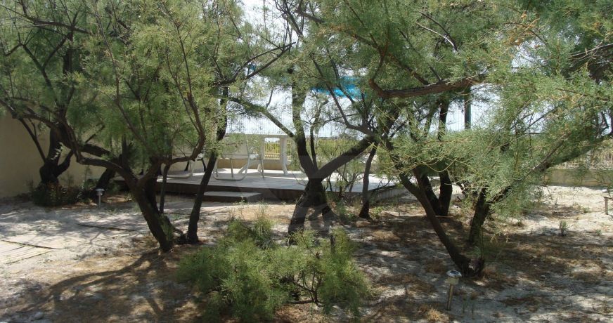 vente Immeuble Frontignan