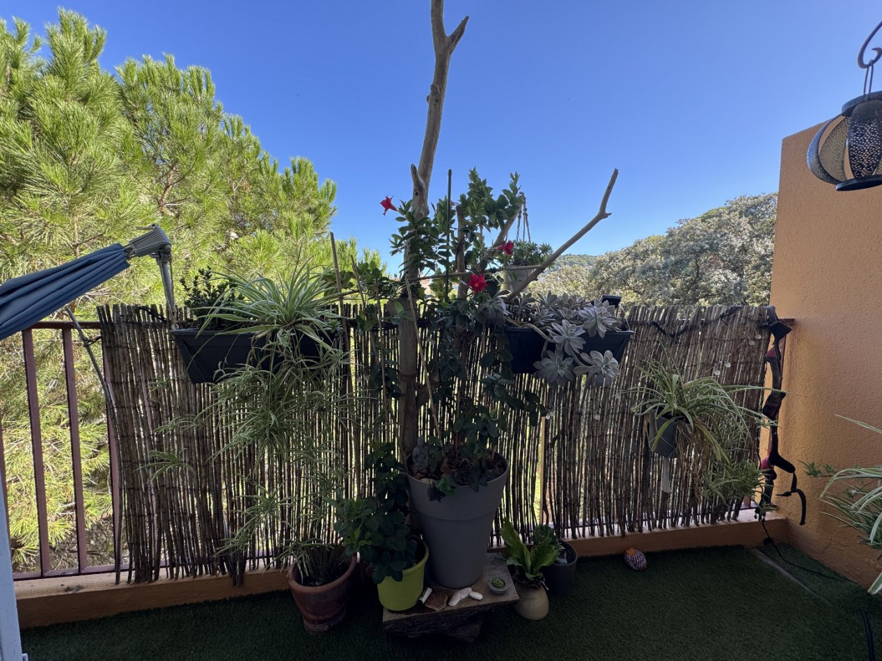 vente Appartement Sete - Photo 3