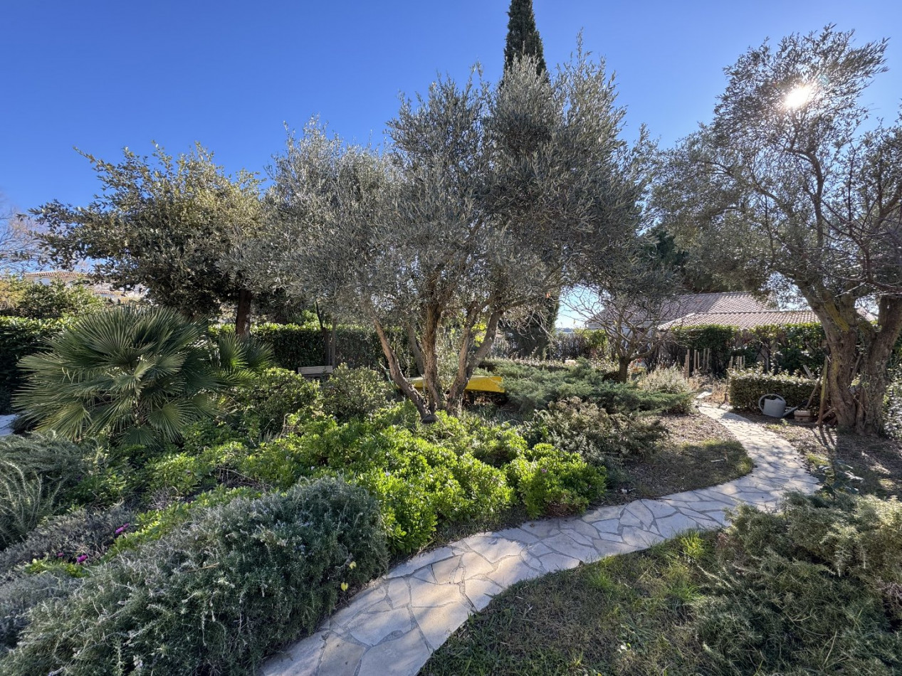 vente Maison Bouzigues - Photo 6