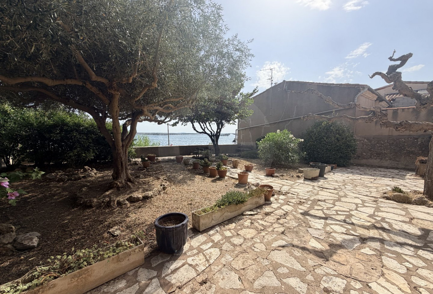 vente Maison de caractère Bouzigues - Photo 8