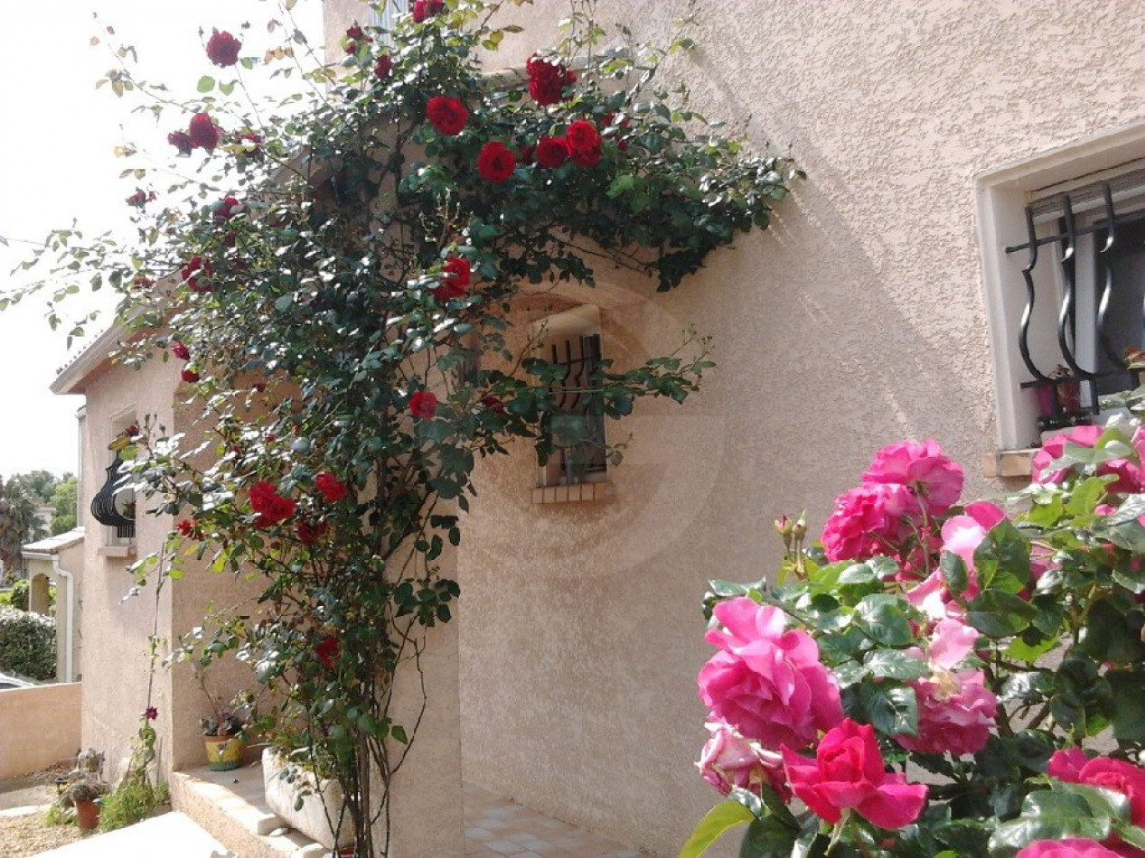 vente Maison Balaruc Les Bains - Photo 7