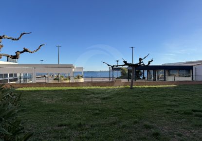 vente Appartement Balaruc Les Bains