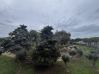 vente Appartement Balaruc Les Bains