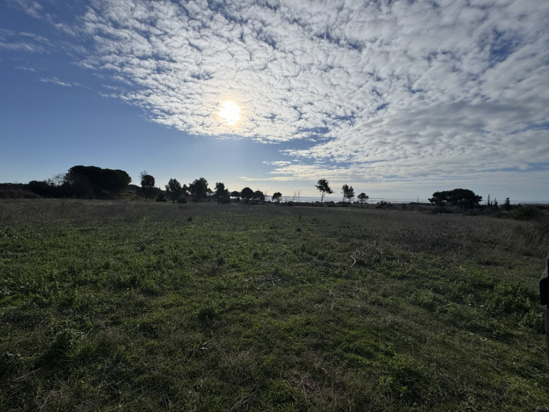 vente Terrain agricole Loupian - Photo 1