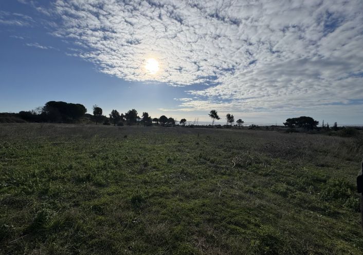 vente Terrain agricole Loupian