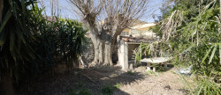 vente Appartement Meze