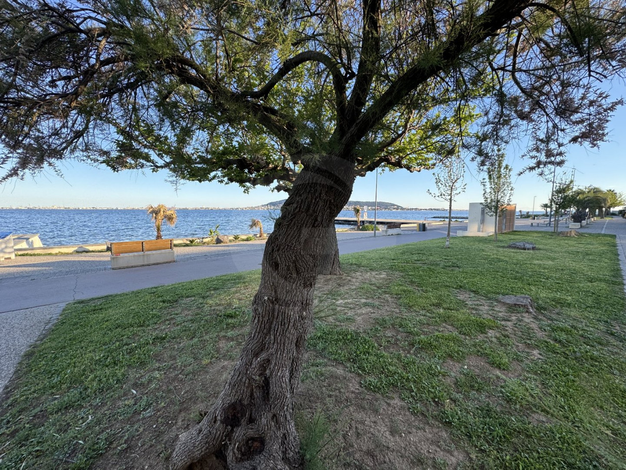 vente Appartement Balaruc Les Bains - Photo 2