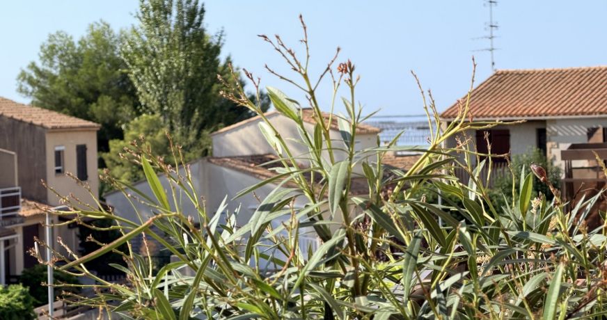vente Appartement Bouzigues