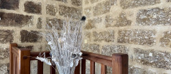 vente Maison de village Montagnac