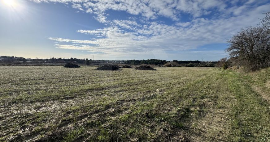 vente Terrain Loupian