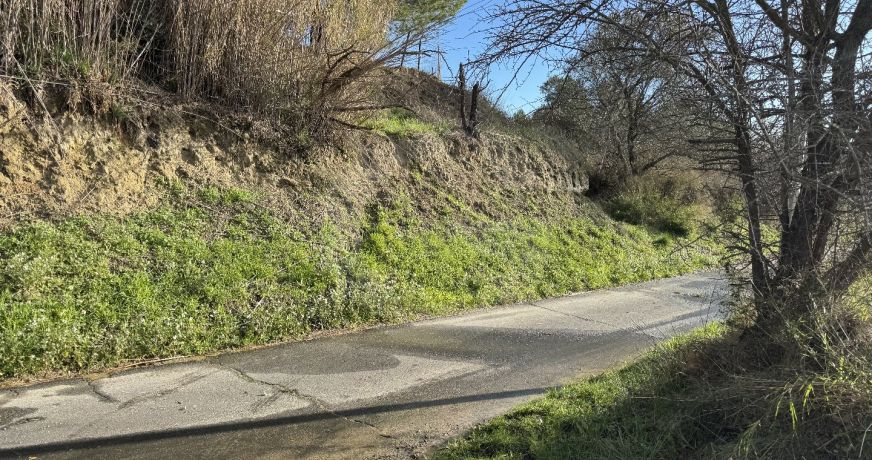 vente Terrain Loupian