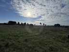 vente Terrain Loupian