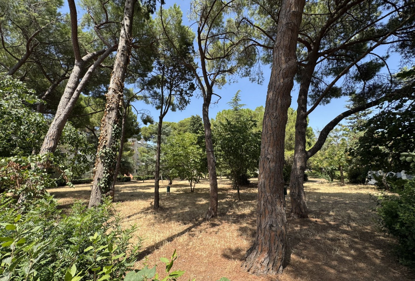 vente Appartement Sete - Photo 3