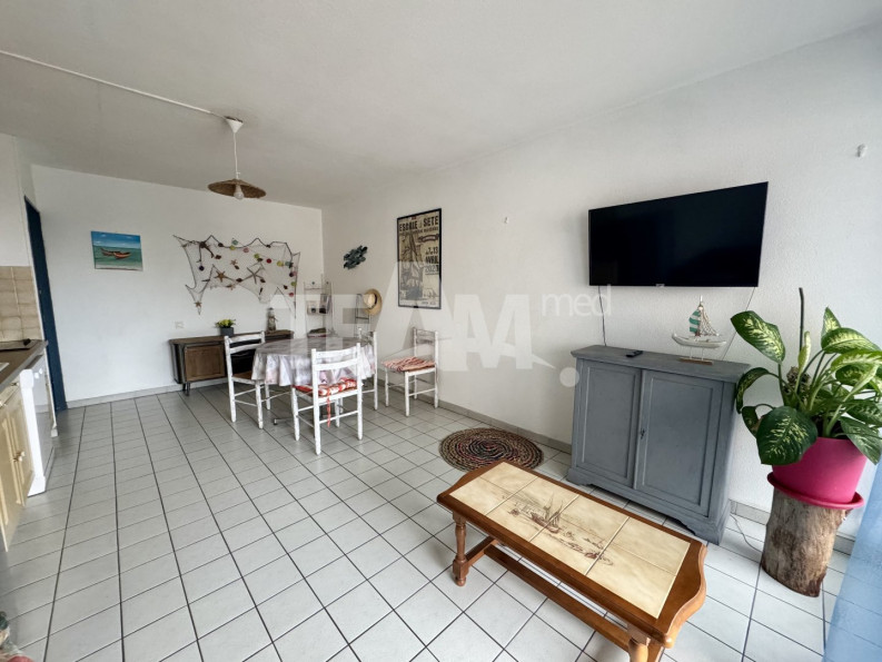 location Appartement terrasse Sete - Photo 2