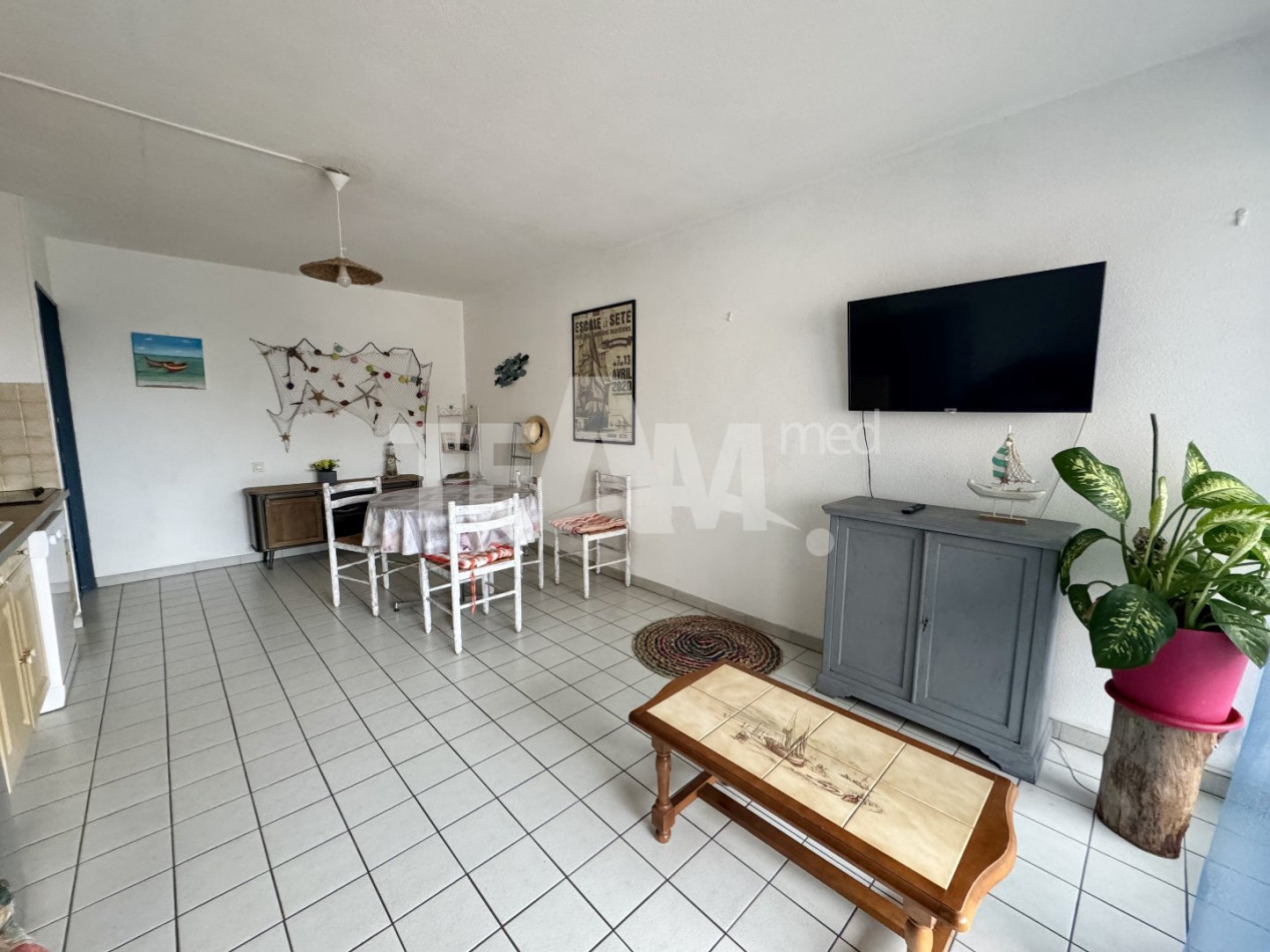 location Appartement terrasse Sete - Photo 2