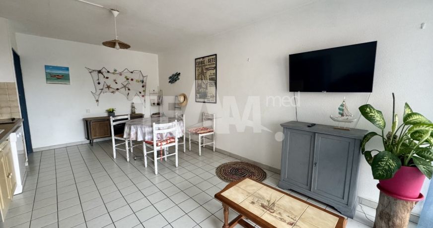 location Appartement terrasse Sete