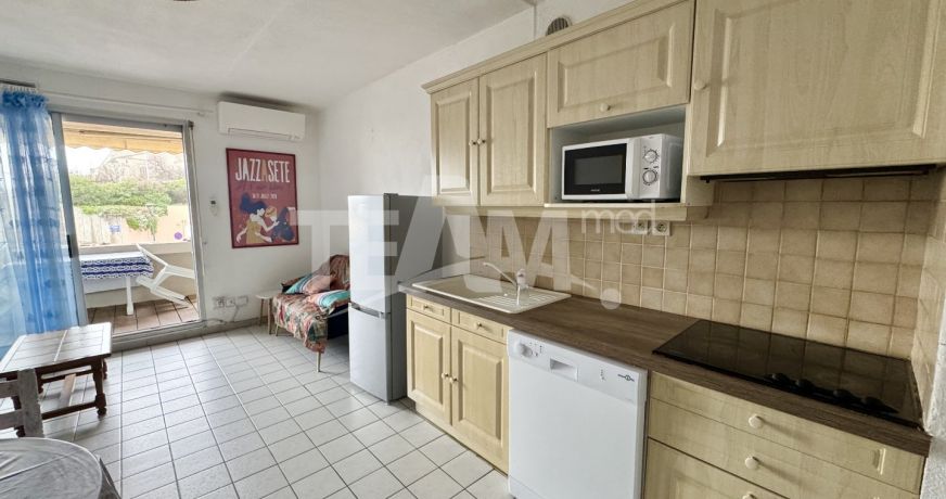 location Appartement terrasse Sete