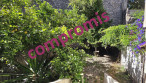 vente Appartement en rez de jardin Sete