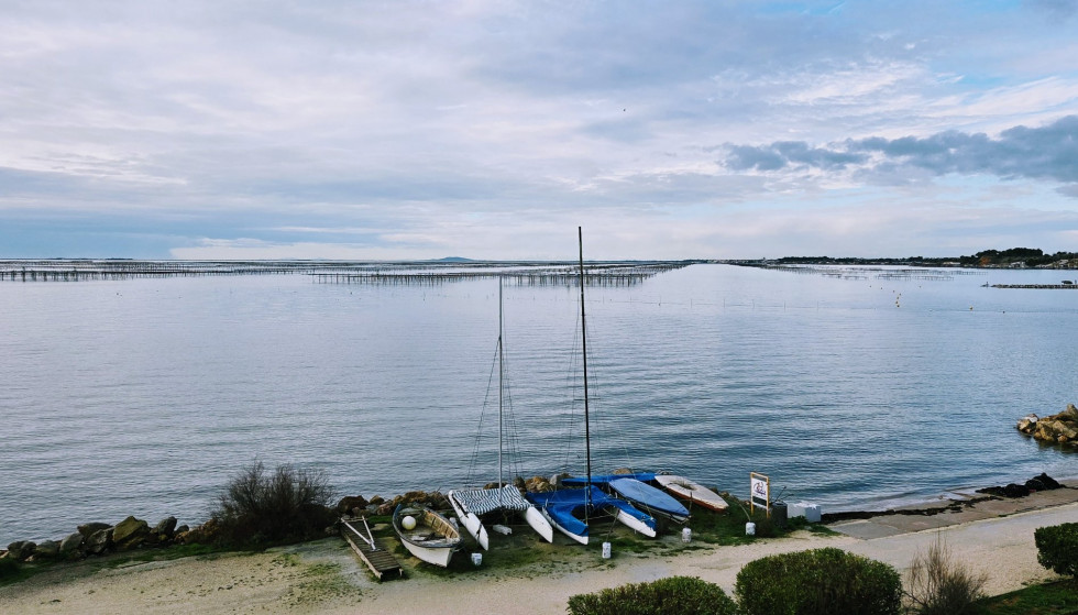 vente Maison Bouzigues - Photo 1