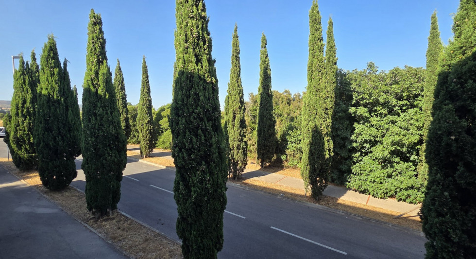 vente Appartement Frontignan - Photo 3