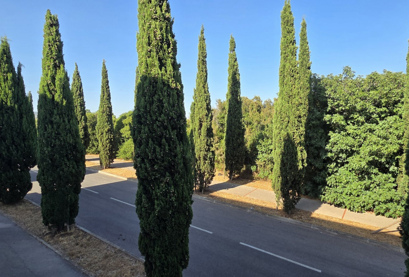 vente Appartement Frontignan - Photo 3