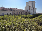 à vendre Appartement Sete
