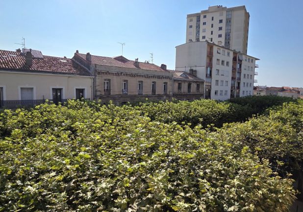 vente Appartement Sete