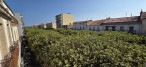 à vendre Appartement Sete