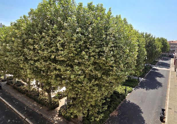 vente Appartement Sete