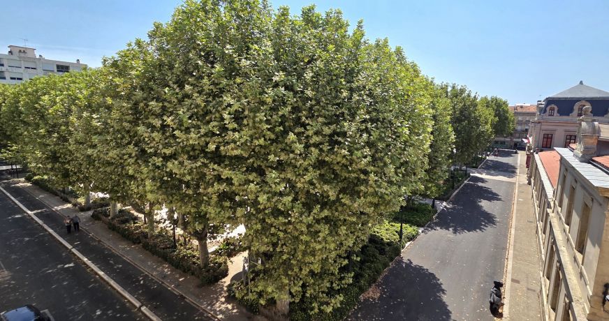 vente Appartement Sete